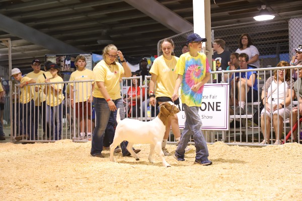 all_for_one_goat