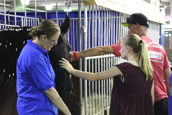 Neighborhood Corral Ask A Horse Expert