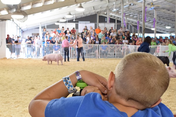 swine.goat.barn
