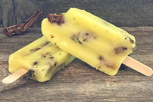 Grasshopper Slushie On-a-Stick – 600×400 Grasshopper Slushie On-a-Stick