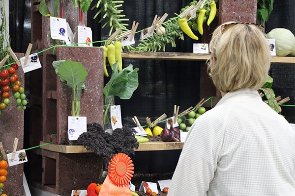 Vegetable & Herb Show Display in Grand Champion Hall