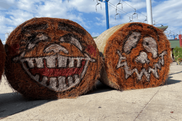 two hay bales with smiley face painted on them