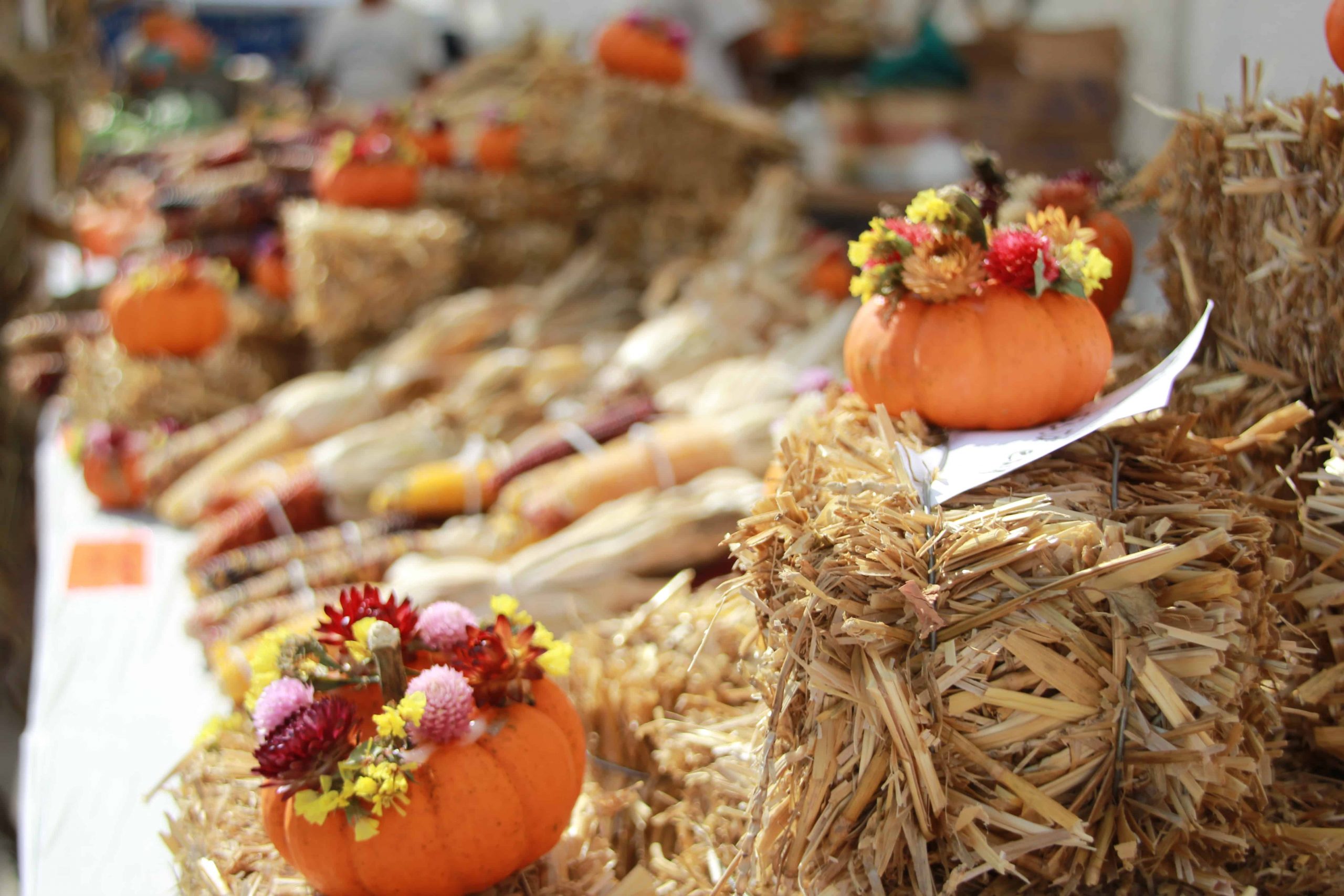 pumpkins and flowers on top of hay bales