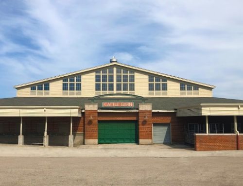 Dairy Cattle Barn