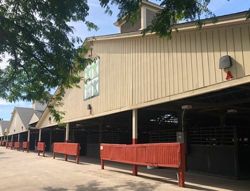 Livestock Barns