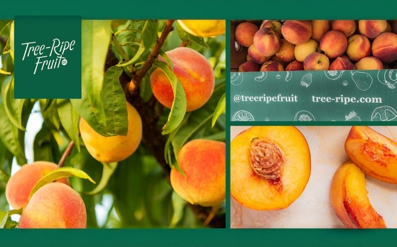 Georgia Peach Stop Event