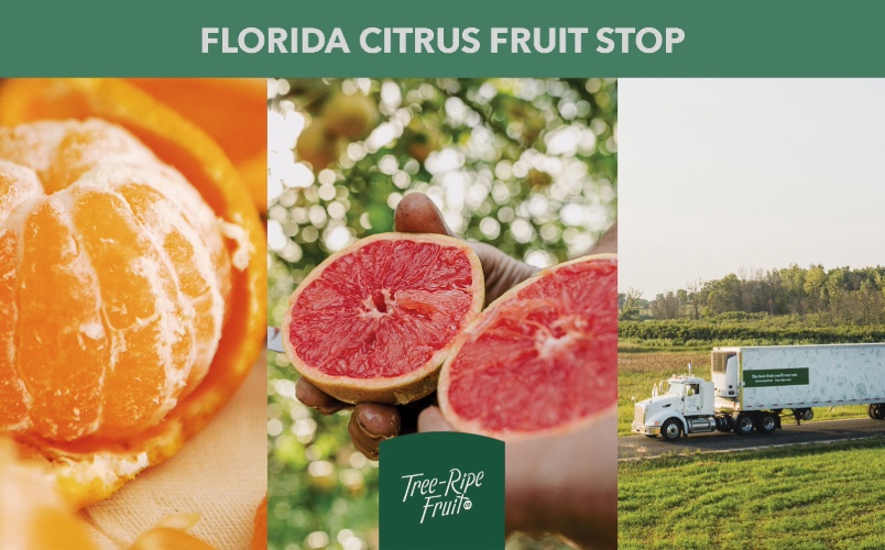 Fresh Florida Citrus Delivery