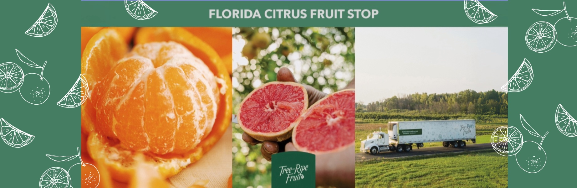 Fresh Florida Citrus Delivery